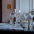 Baccarat Jupiter Glass