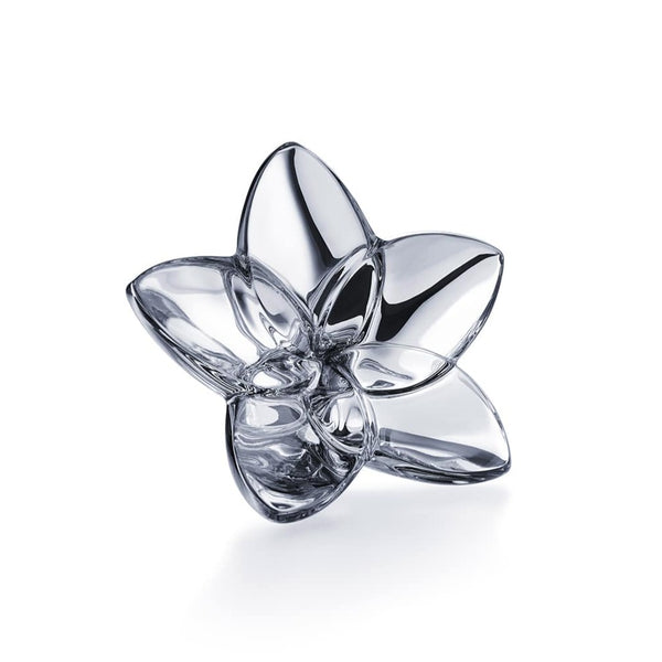 Baccarat The Bloom Collection Flower, Silver