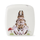 Royal Worcester Wrendale Designs Little Wren Money Box