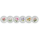 Portmeirion Exotic Botanic Garden Pasta Bowl, Set of 6