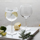 Dartington Wine & Bar Gin and Tonic Copa, Set of 2