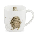 Royal Worcester Wrendale Designs What a Hoot Mug