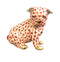 Herend Bulldog Puppy Fishnet Figurine