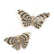 MacKenzie-Childs Courtly Check Butterfly Duo Wall Decor