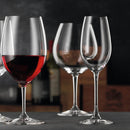 Nachtmann ViVino Burgundy Glass, Set of 4