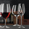 Nachtmann ViVino Burgundy Glass, Set of 4