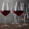 Spiegelau Salute Burgundy Wine Glasses, Set of 4