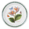 Portmeirion Exotic Botanic Garden Side Plate, Set of 6