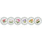 Portmeirion Exotic Botanic Garden Side Plate, Set of 6