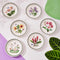 Portmeirion Exotic Botanic Garden Side Plate, Set of 6