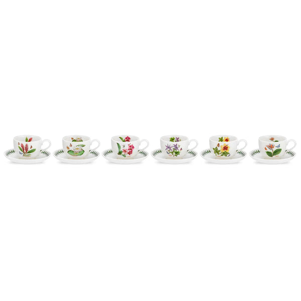 Portmeirion Exotic Botanic Garden Teacup & Saucer, Set of 6