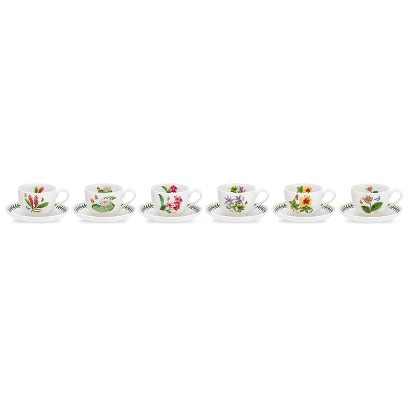 Portmeirion Exotic Botanic Garden Teacup & Saucer, Set of 6