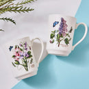 Portmeirion Botanic Garden Flared Tankard Set of 6