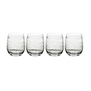 Portmeirion Botanic Garden Crystal Tumblers Set of 4
