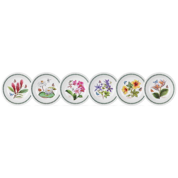 Portmeirion Exotic Botanic Garden Pasta Bowl, Set of 6