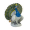 Meissen Bird Figurine Peacock