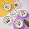 Portmeirion Exotic Botanic Garden Pasta Bowl, Set of 6