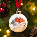Royal Worcester Wrendale Designs Bauble - Snuggled up Together like Two Birds of a Feather (Robin)