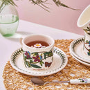 Portmeirion Botanic Garden Teacup and Saucer (Drum Shape)