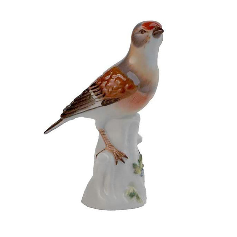 Meissen Bird Figurine Linnet – SinclairsCollectables