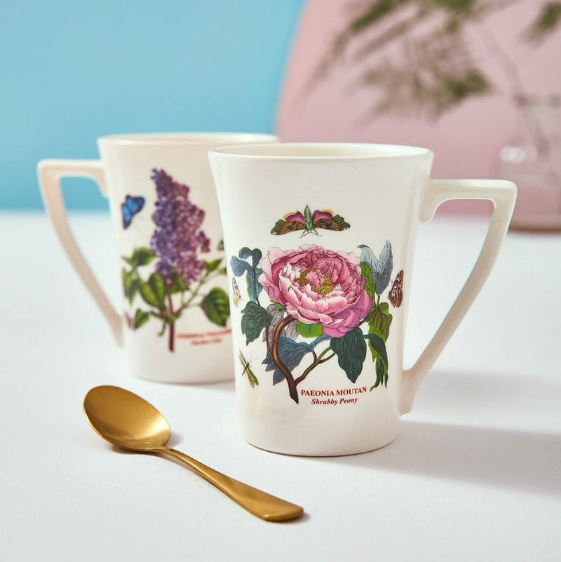 Portmeirion Botanic Garden Manadarin Mugs, Set of 2