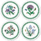 Pimpernel for Portmeirion Botanic Garden Round Coasters Set of 4