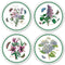 Pimpernel for Portmeirion Botanic Garden Round Placemats Set of 4