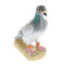 John Beswick Birds Ducks & Chicks - Pigeon Figurine