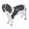 John Beswick Dogs - English Springer Spaniel (Black & White)