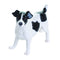 John Beswick Dogs - Jack Russell in Black & White