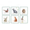 Pimpernel for Royal Worcester Wrendale Designs Coasters Set of 6